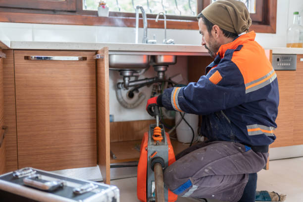 Best Same-Day Plumbing Service  in Morrice, MI