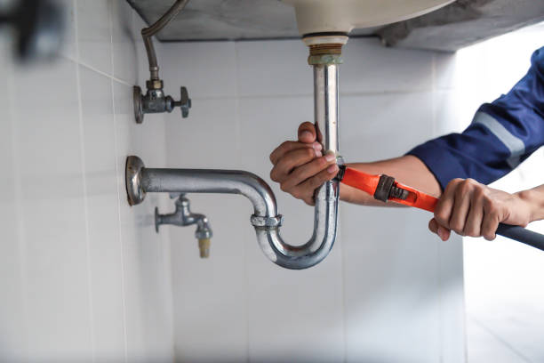 Best Commercial Plumbing Services  in Morrice, MI