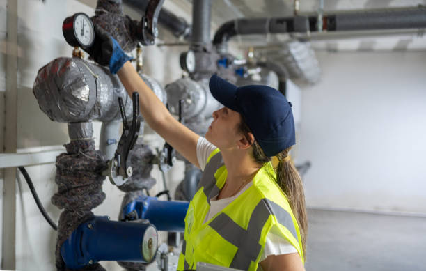 Best Boilers & Radiators  in Morrice, MI