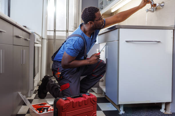 Best Clogged Drain Plumber  in Morrice, MI