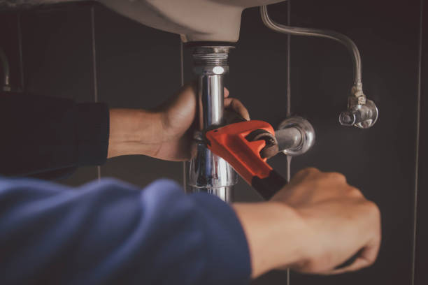 Best Local Plumber Services  in Morrice, MI
